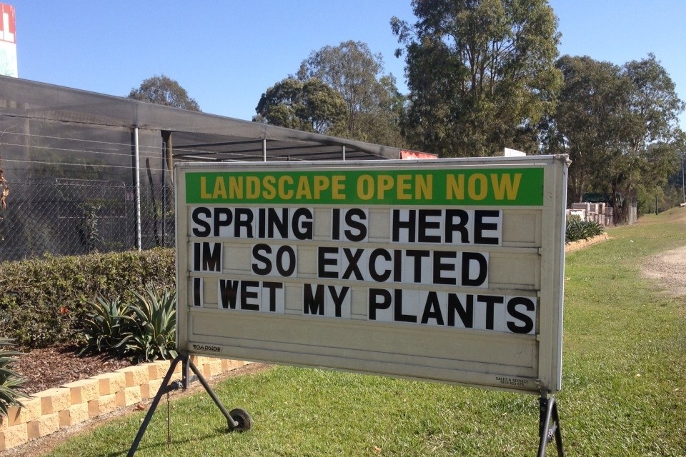 wet-my-plants.jpg